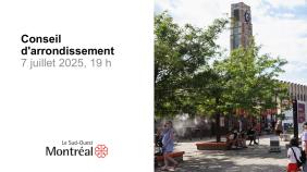 thumbnail of medium 2025-07-07 Conseil d'arrondissement du Sud-Ouest