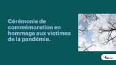 thumbnail of medium 2021-03-11 Laval