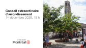 thumbnail of medium 2025-12-01 Conseil d'arrondissement du Sud-Ouest